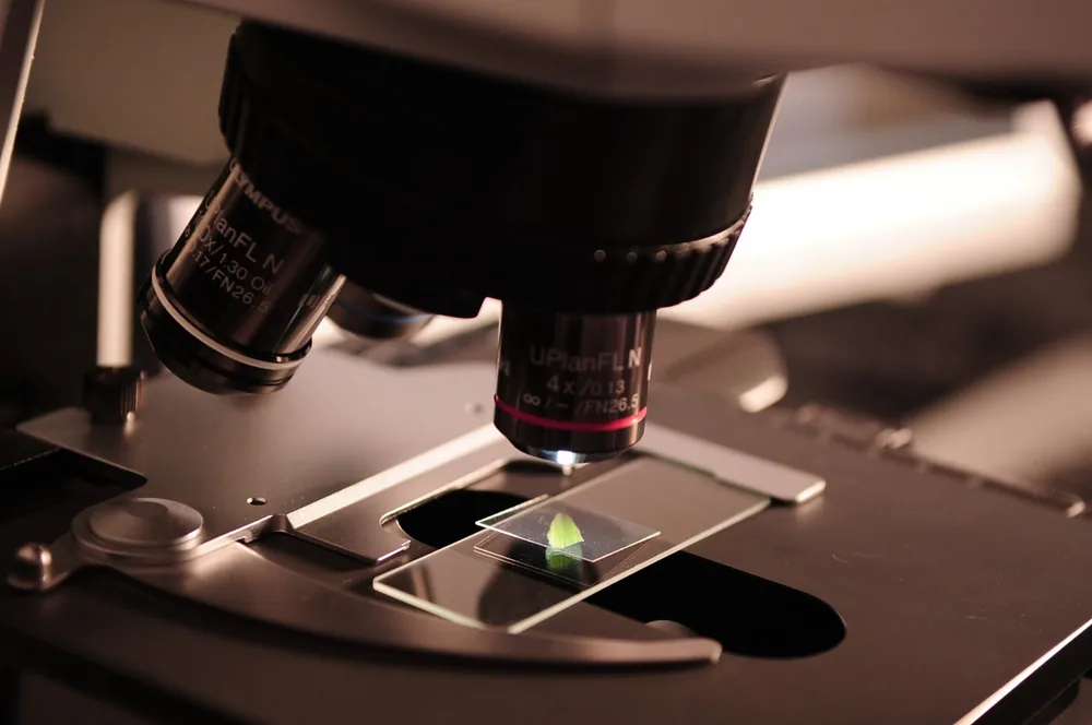Laboratory microbiology specimen testing