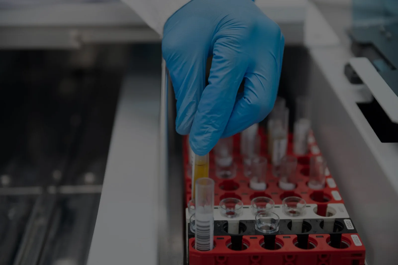 Gloved hand handling laboratory sample tubes